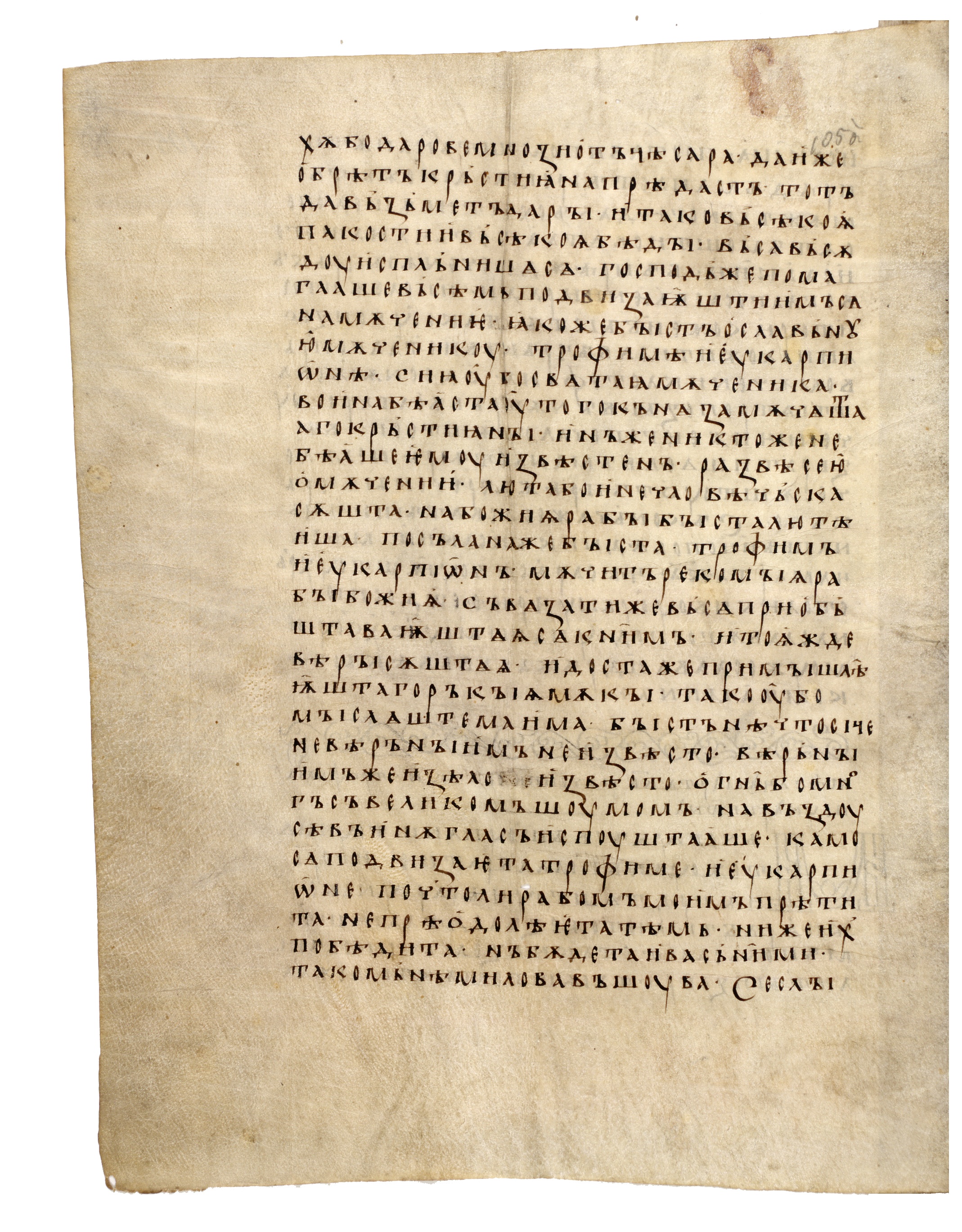 Image of 105v